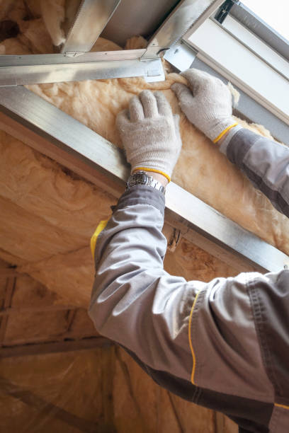 Best Insulation Installation Services in Aliso Viejo, CA